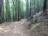 Na Rusavu přes Javorčí vrch (Foto: Kamil)