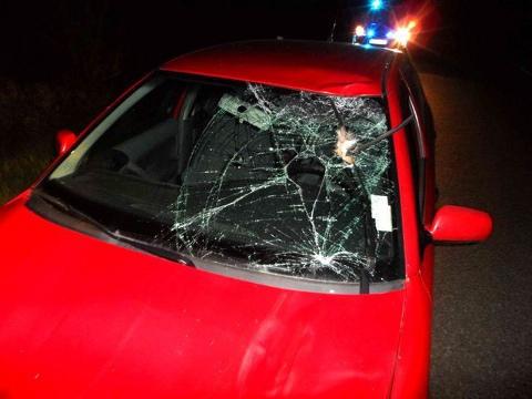 srážka s jelenem (Foto: Policie ČR) srážka s jelenem (Foto: Policie ČR)