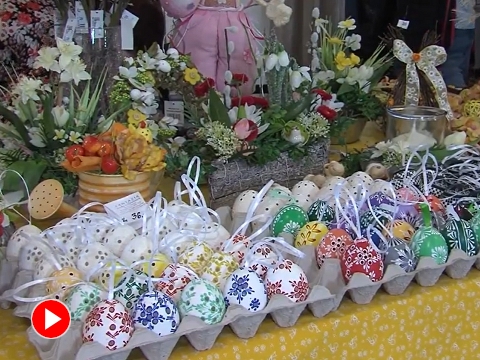 Foto: youtube Televize TVS Foto: youtube Televize TVS