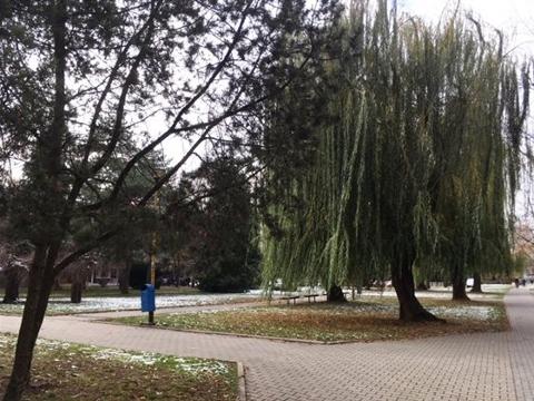 Foto: MěÚ Otrokovice Foto: MěÚ Otrokovice