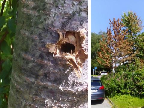 foto: město Valašské Meziříčí foto: město Valašské Meziříčí