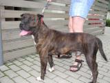 roky