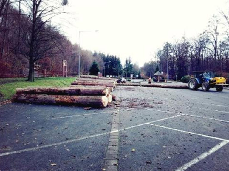 V okolí Jurkovičovy rozhledny vytěžily Městské lesy Rožnov 92 kubíků dřeva