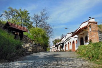 foto: vinazmoravyvinazcech.cz