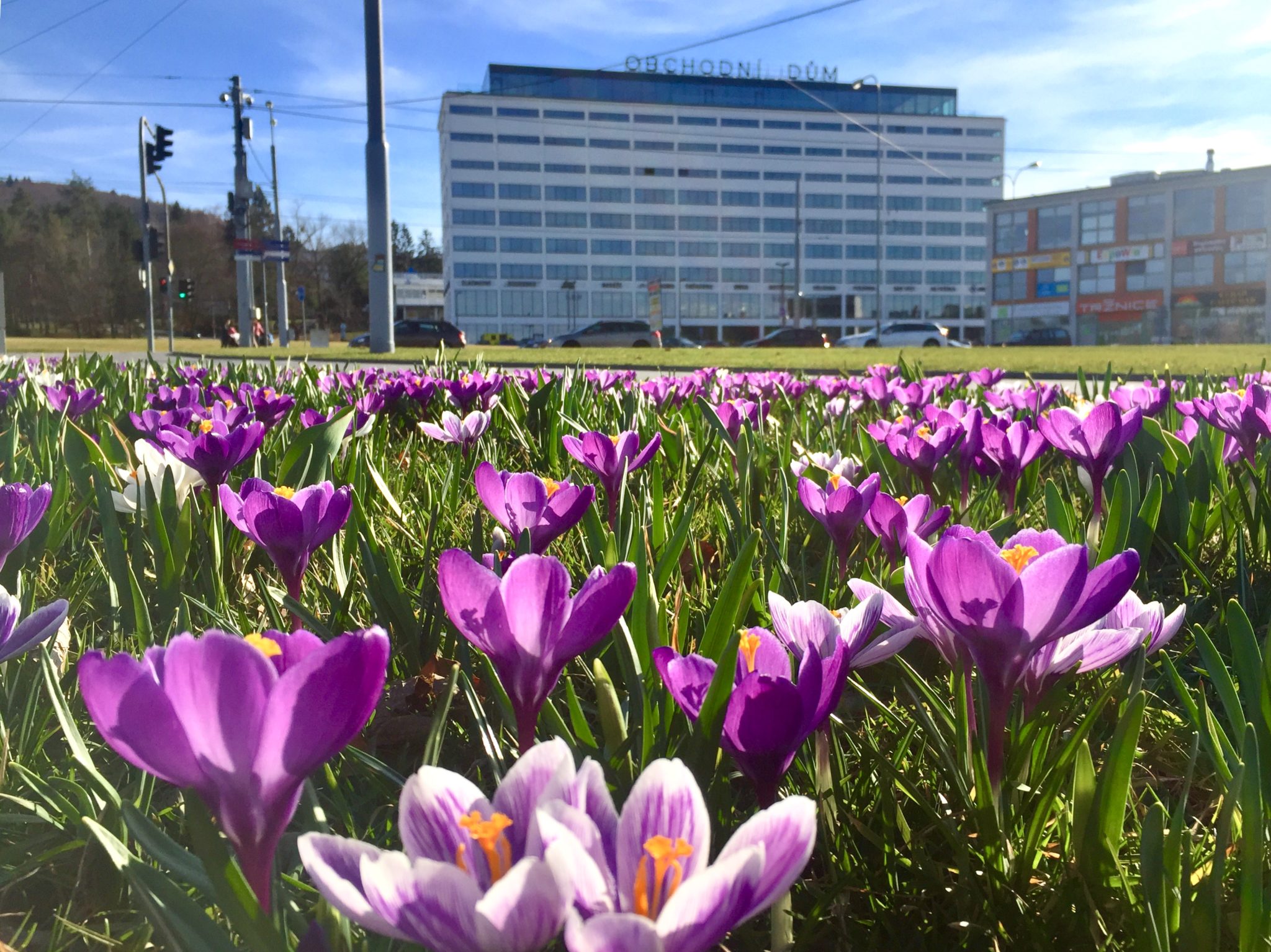 ZLIN.CZ Informační portál pro Zlín a Zlínský kraj
